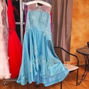 Plus size prom, ballroom dancing, MOB, hi-lo gown illusion neckline